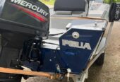 Barco ecologia Fishing 19
