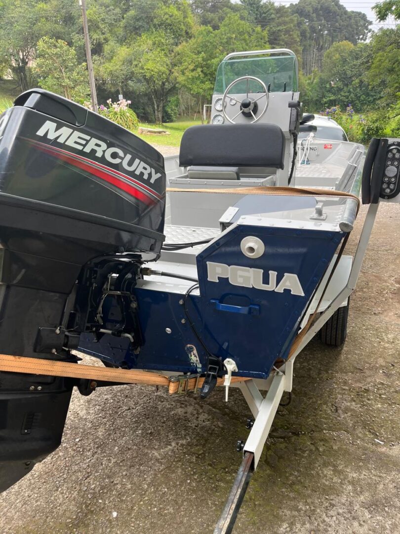 Barco ecologia Fishing 19